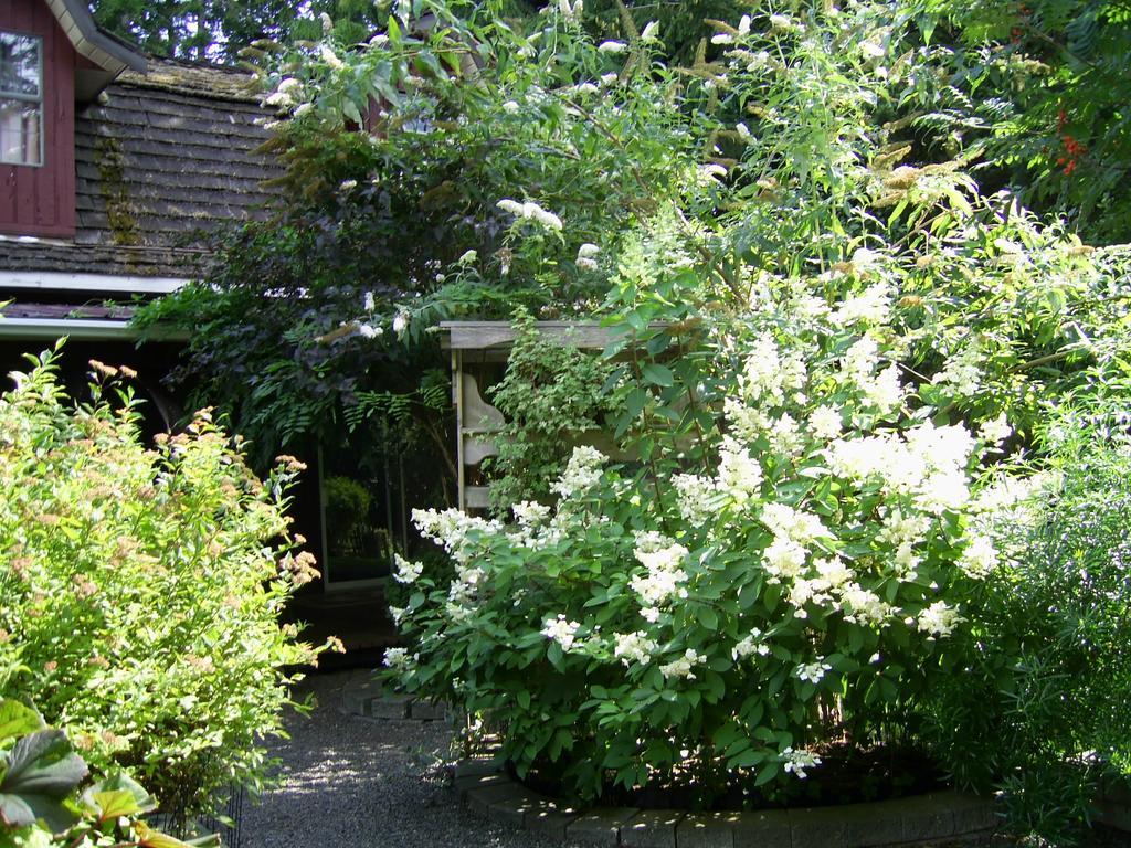 Hotel Garden House Courtenay Exterior foto