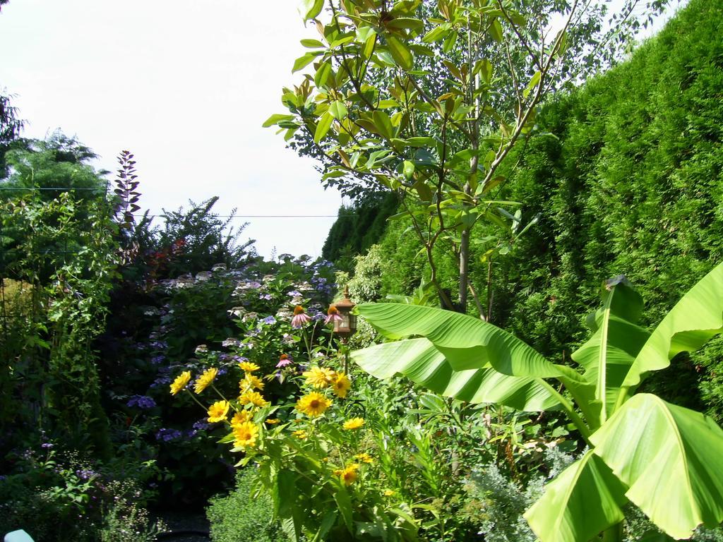 Hotel Garden House Courtenay Exterior foto